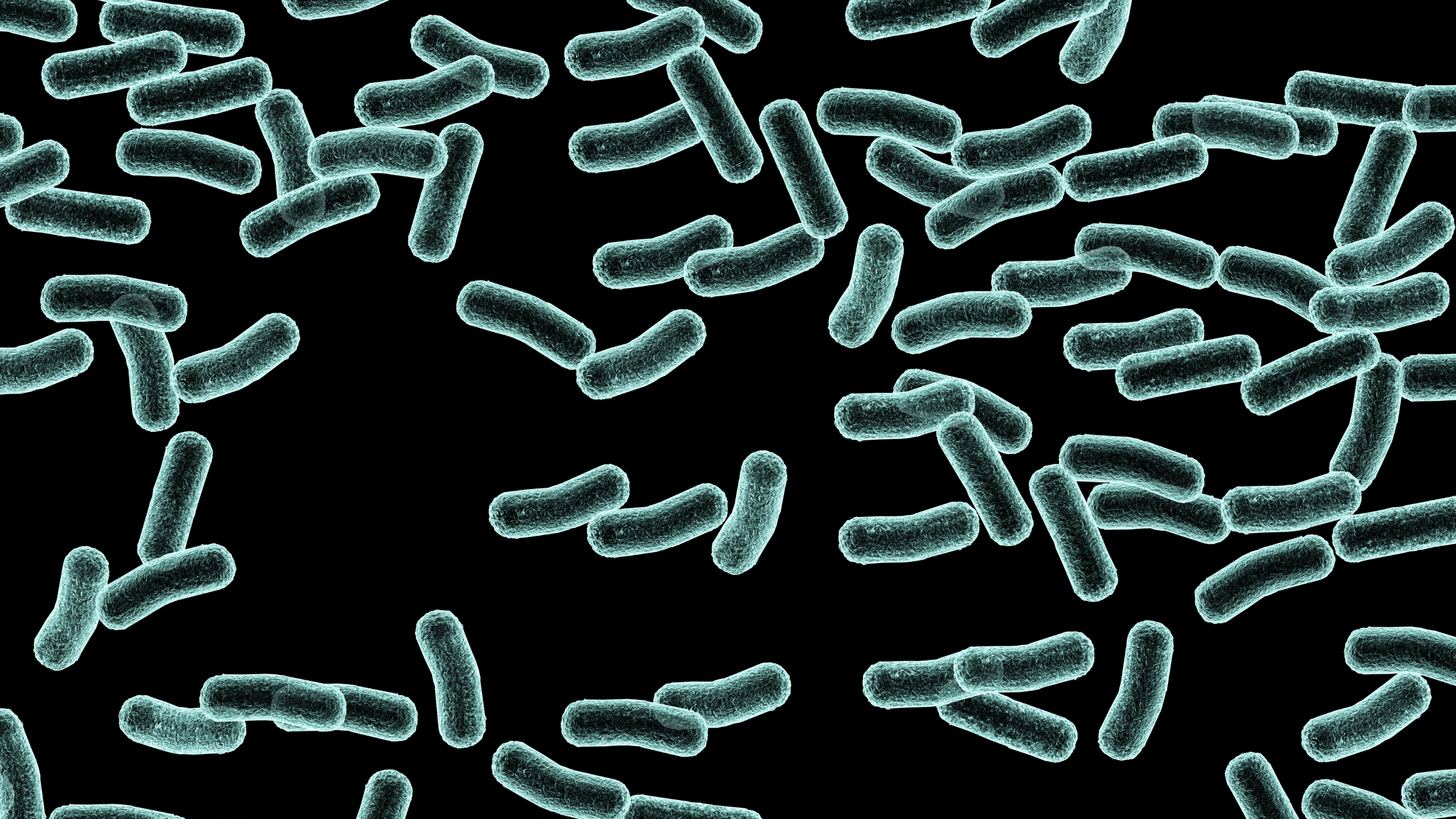 Staphylococcus aureus: An Inside Scoop on the Bad Bacteria - Gladskin