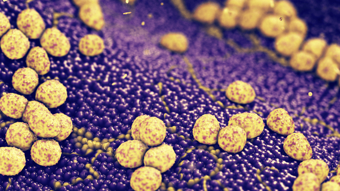 Your Guide to the Skin Microbiome - Gladskin