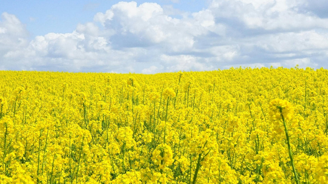 Can Spring Allergies Impact My Skin? - Gladskin